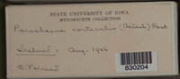 Image Associated With the Occurence